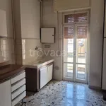 Rent 3 bedroom apartment of 120 m² in Codogno