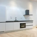 Rent 2 bedroom apartment of 75 m² in The Hague