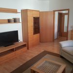 Miete 2 Schlafzimmer wohnung von 57 m² in Dresden