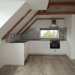 Rent 2 bedroom apartment of 59 m² in groningen