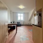 Rent 2 bedroom apartment in Pilsen