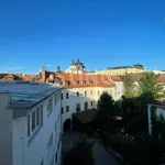 Rent 2 bedroom apartment in Olomouc