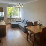 Rent 1 bedroom apartment of 39 m² in Poznan