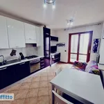 Rent 2 bedroom apartment of 50 m² in Milan