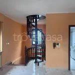 Rent 4 bedroom apartment of 90 m² in Torino