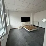 Rent 2 bedroom apartment of 40 m² in Torino