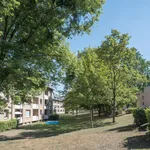 Rent 2 bedroom apartment of 61 m² in Wolfsburg