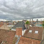 Rent 1 bedroom apartment in Gent