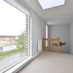 Rent 3 bedroom house in Cambridge