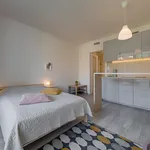 Rent 1 bedroom apartment of 24 m² in Prague