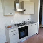 Rent 2 bedroom apartment of 55 m² in San Paolo d'Argon