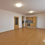 Rent 1 bedroom apartment in Uherské Hradiště