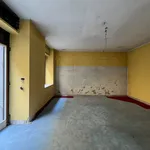 Rent 3 bedroom house of 70 m² in Turin