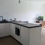 Rent 1 bedroom apartment in berlin