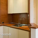 Rent 1 bedroom apartment of 60 m² in Milano MI