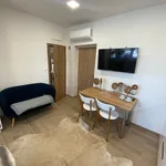 Rent 1 bedroom apartment in Zlín