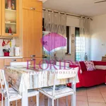 Rent 2 bedroom apartment of 47 m² in Ardea