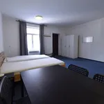 Rent 1 bedroom apartment in Brno