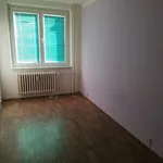 Rent 1 bedroom apartment of 45 m² in Brno