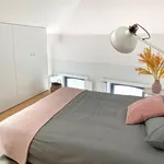 Rent 1 bedroom apartment in Porto