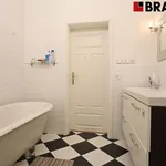 Rent 2 bedroom apartment of 60 m² in Brno