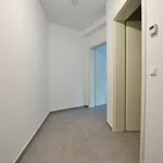 Rent 4 bedroom apartment of 136 m² in Leipzig