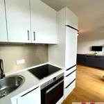 Rent 1 bedroom apartment of 32 m² in Nuremberg