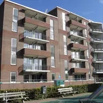 Rent 2 bedroom apartment of 59 m² in Nieuw-Rhijngeest