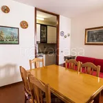 Rent 3 bedroom apartment of 70 m² in Rosignano Marittimo