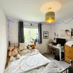 Rent 4 bedroom house in North East England