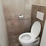 Rent 1 bedroom apartment in Praha 3