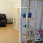 Appartement de 21 m² avec 1 chambre(s) en location à Pamiers