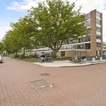 Rent 3 bedroom apartment of 59 m² in Amsterdam