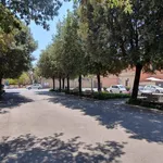 Affitto 3 camera appartamento di 70 m² in Follonica