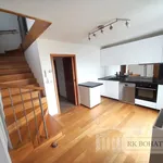 Pronajměte si 4 ložnic/e byt o rozloze 108 m² v Prague