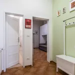 Rent 1 bedroom apartment of 538 m² in Bologna