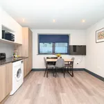 Rent 1 bedroom flat in Brighton