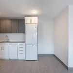  appartement avec 1 chambre(s) en location à Montreal