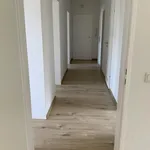 Rent 4 bedroom apartment of 75 m² in Siegen