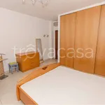 Rent 3 bedroom apartment of 90 m² in Milano