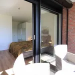 Rent 1 bedroom apartment of 80 m² in Maastricht