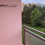 Rent 1 bedroom apartment in Plzeň