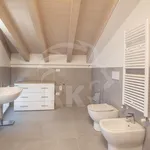 Rent 1 bedroom apartment of 61 m² in bologna