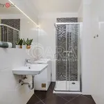 Rent 1 bedroom apartment of 33 m² in Trhový Štěpánov