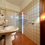 Rent 7 bedroom house of 100 m² in Piombino