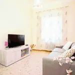 Rent 2 bedroom apartment of 70 m² in Pisa