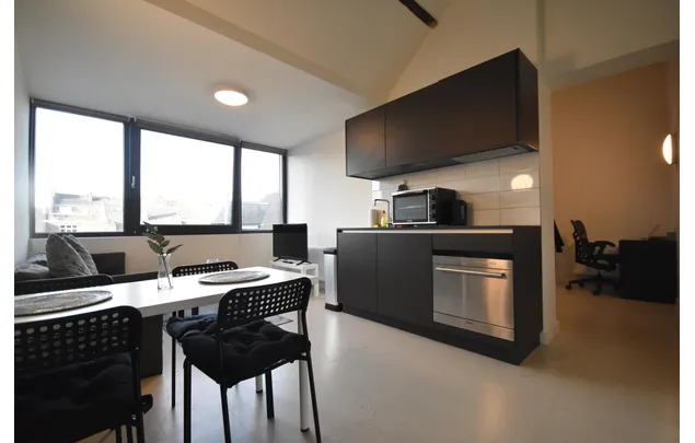 Huur 1 slaapkamer appartement van 34 m² in Maastricht