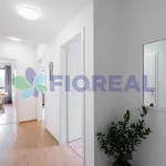 Rent 4 bedroom apartment of 95 m² in Prague