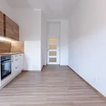 Pronajměte si 1 ložnic/e byt o rozloze 48 m² v Prague