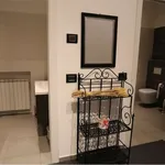 Rent 4 bedroom apartment of 155 m² in Novara